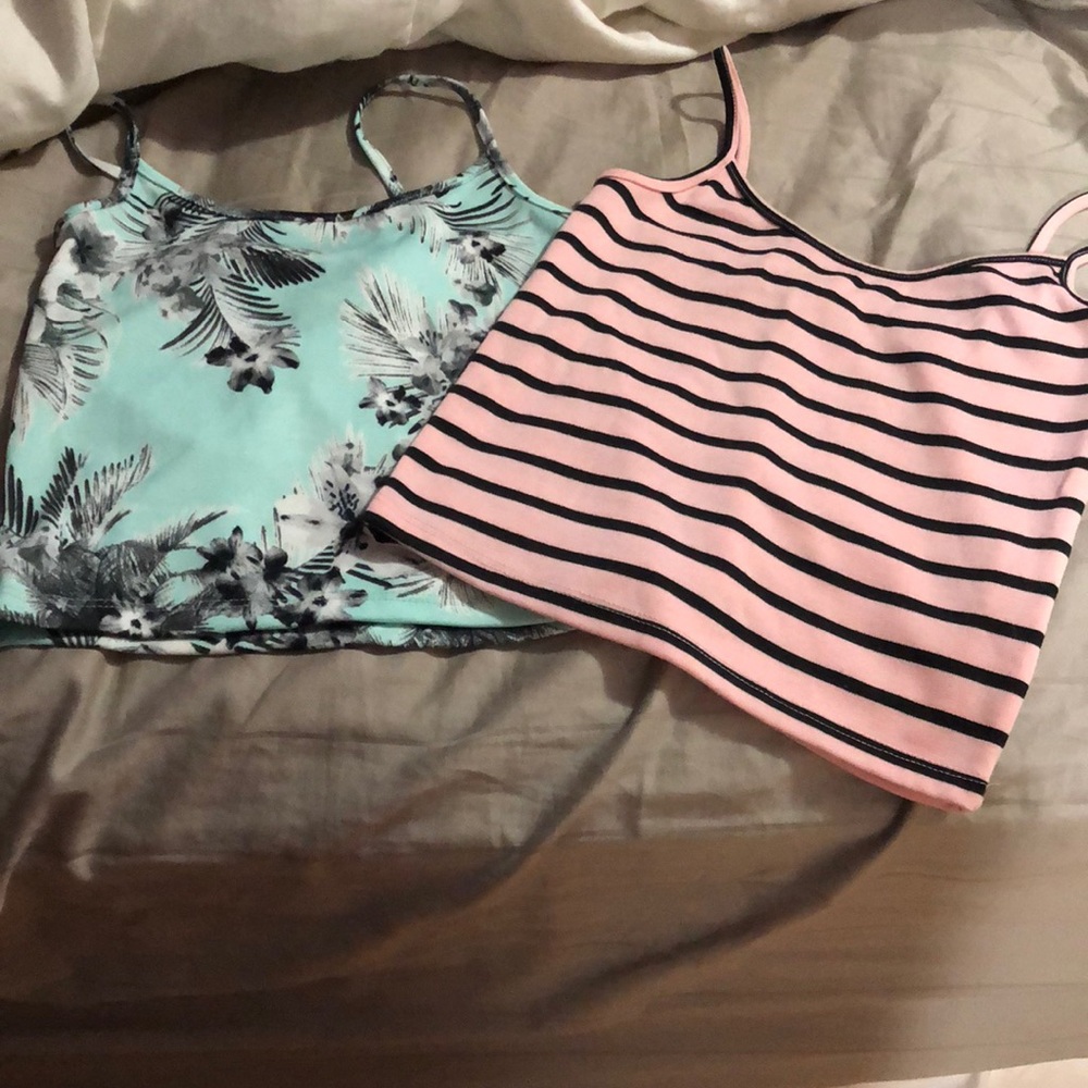 Crop top bundle. Each worn 1x!